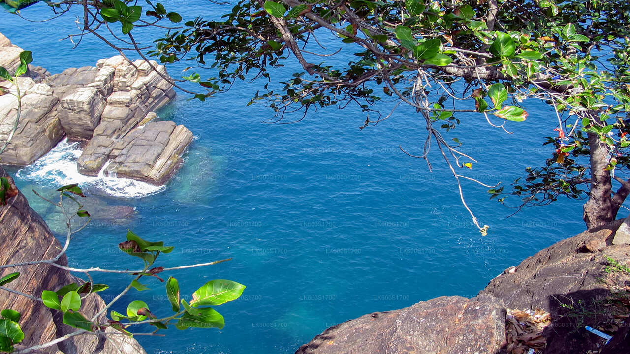 Stadtrundfahrt durch Trincomalee ab Habarana