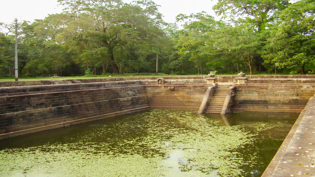Anuradhapura-Tour zu buddhistischen Ikonen ab Habarana