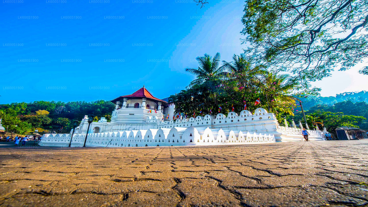 Kandy-Stadtrundfahrt ab Habarana