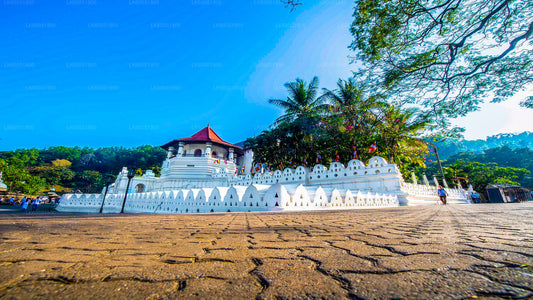 Kandy-Stadtrundfahrt ab Habarana