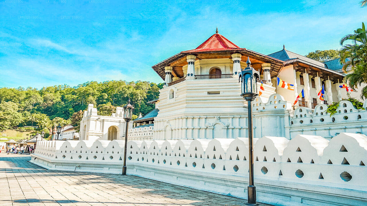 Kandy-Stadtrundfahrt ab Habarana