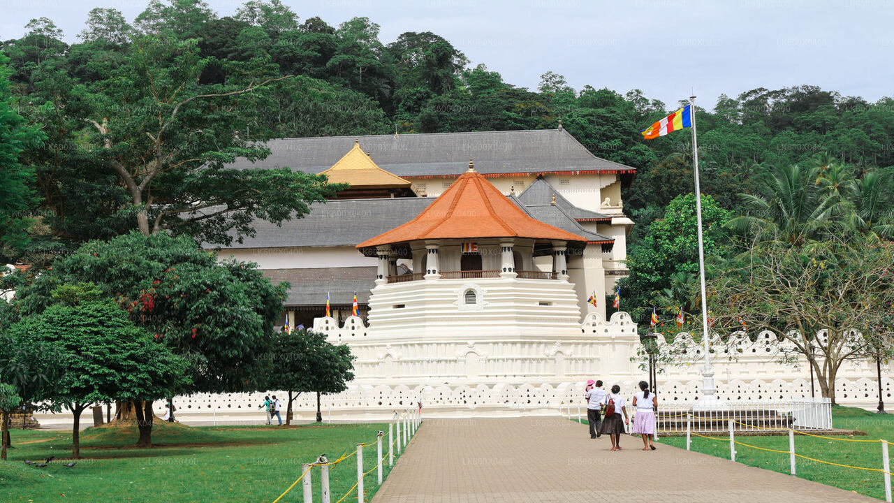 Kandy-Stadtrundfahrt ab Hikkaduwa