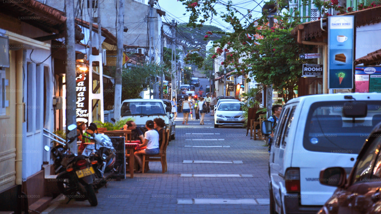 Küstenfahrt nach Galle von Hikkaduwa