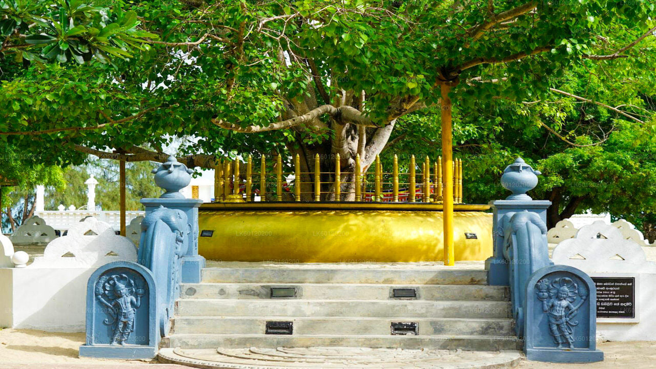 Keerimalai Holy Pond und Jambukola Port von Jaffna aus