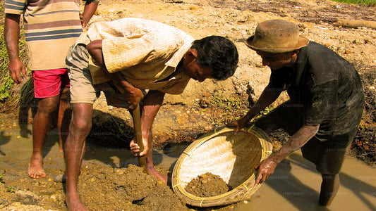 Erkunden Sie die Edelsteinminen in Rathnapura von Kalutara aus