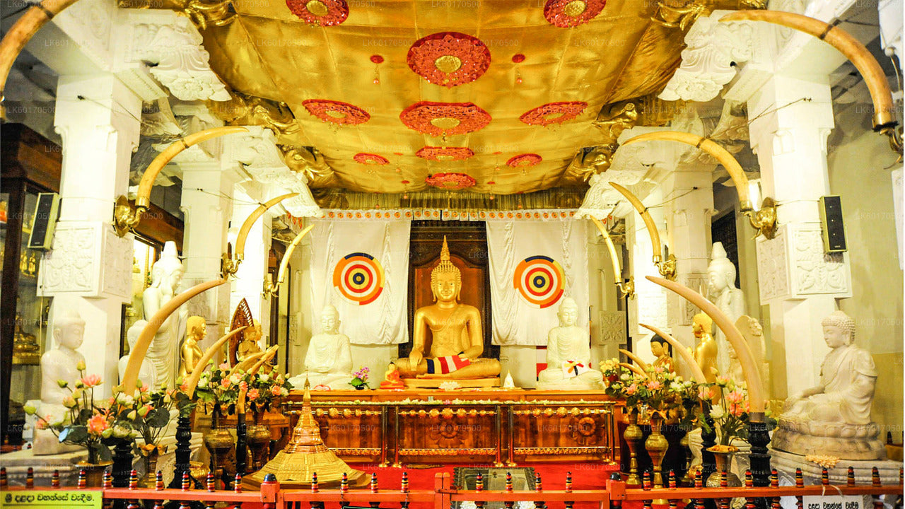 Tempellauftour ab Kandy