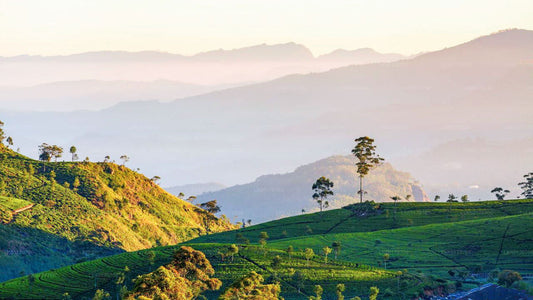 Central Highlands Peak Point von Kandy aus