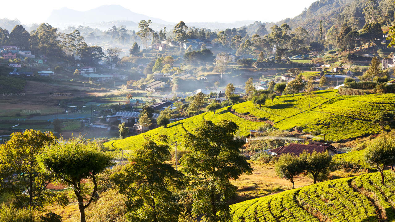 Central Highlands Peak Point von Kandy aus