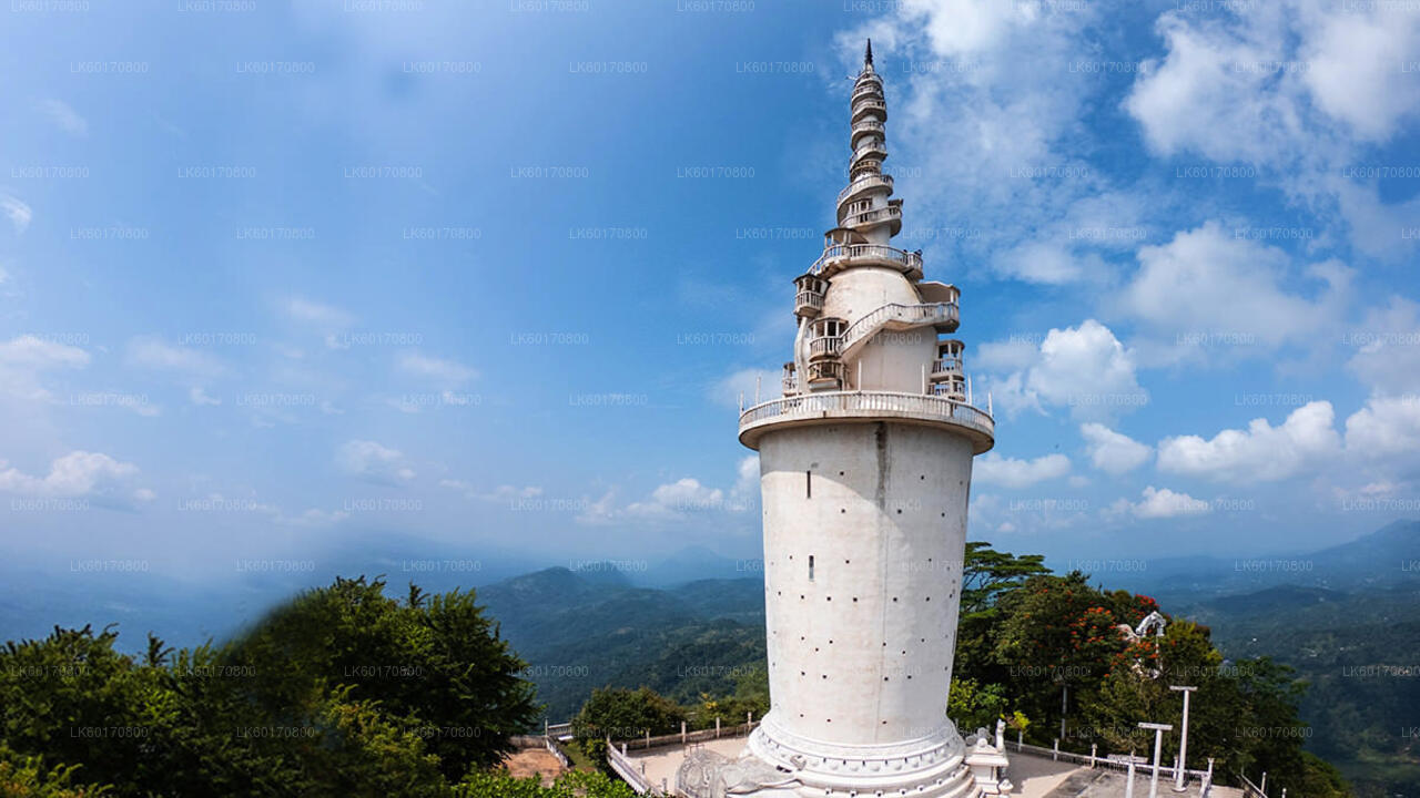 Erkunden Sie den Ambuluwawa Biodiversity Complex von Kandy aus