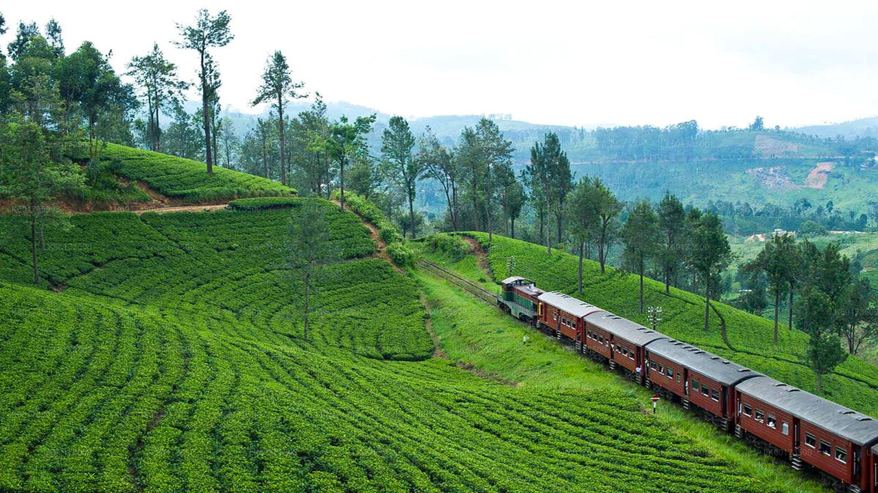 Malerische Zugfahrt von Kandy nach Ella