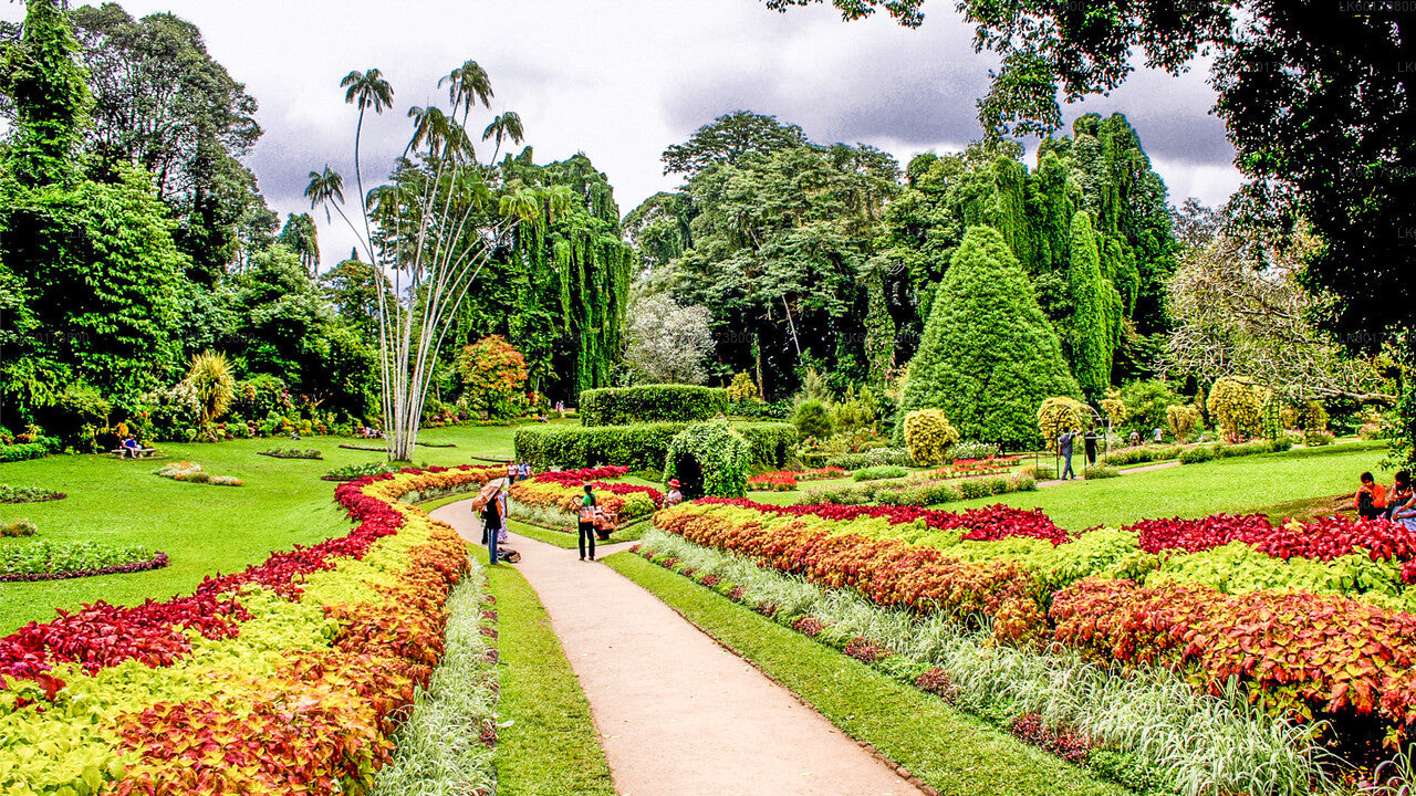 Royal Botanic Garden und Village Life Tour ab Kandy
