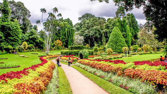 Royal Botanic Garden und Village Life Tour ab Kandy