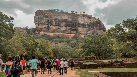 Sigiriya und Dambulla aus Kalpitiya