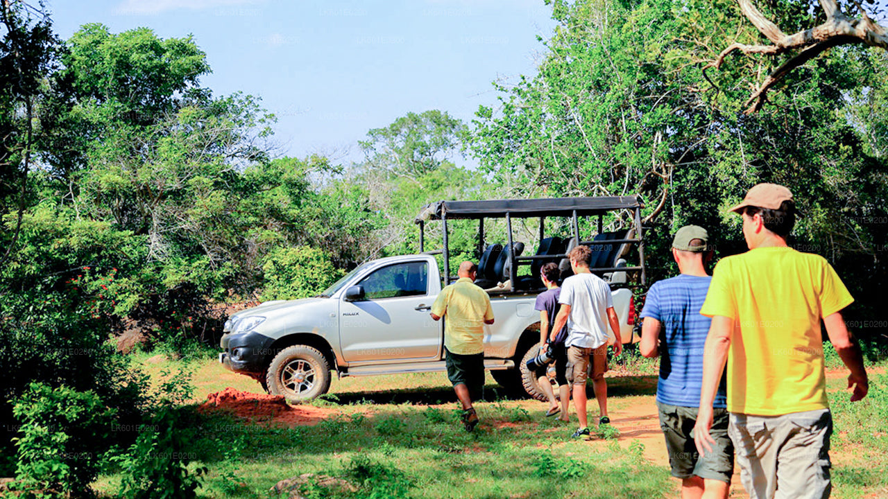 Yala-Nationalpark-Safari ab Koggala