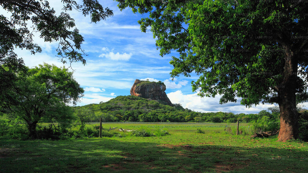 Sigiriya und Dambulla aus Negombo