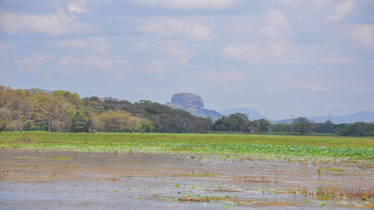 Sigiriya-Dorftour ab Negombo