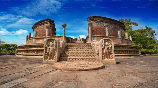 Antikes Königreich Polonnaruwa und Wildelefantensafari ab Sigiriya