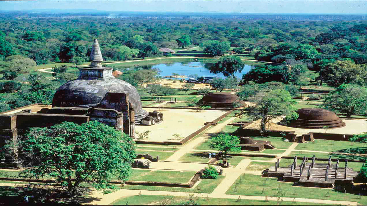 Antikes Königreich Polonnaruwa und Wildelefantensafari ab Sigiriya