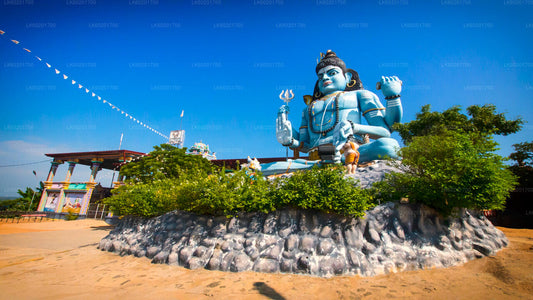 Trincomalee Stadtrundfahrt ab Sigiriya