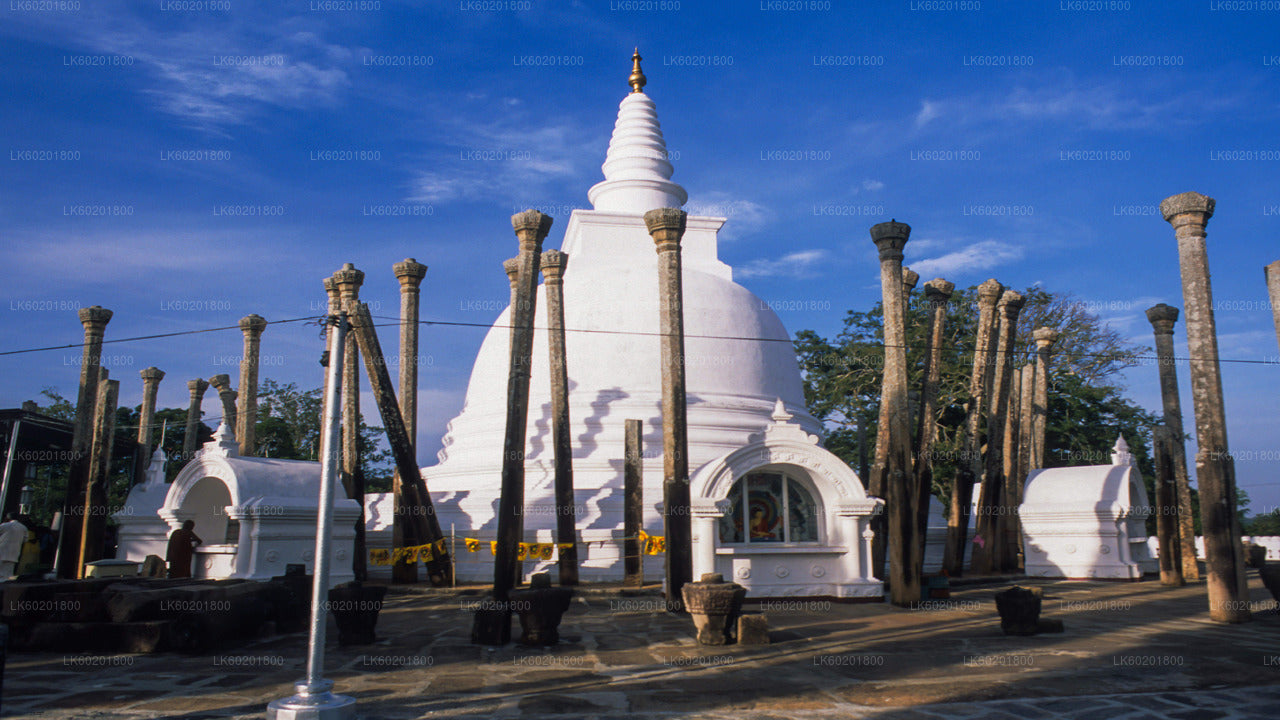 Anuradhapura-Tour zu buddhistischen Ikonen ab Sigiriya