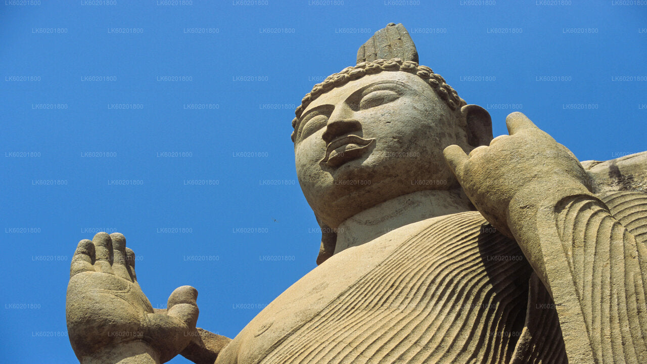Anuradhapura-Tour zu buddhistischen Ikonen ab Sigiriya