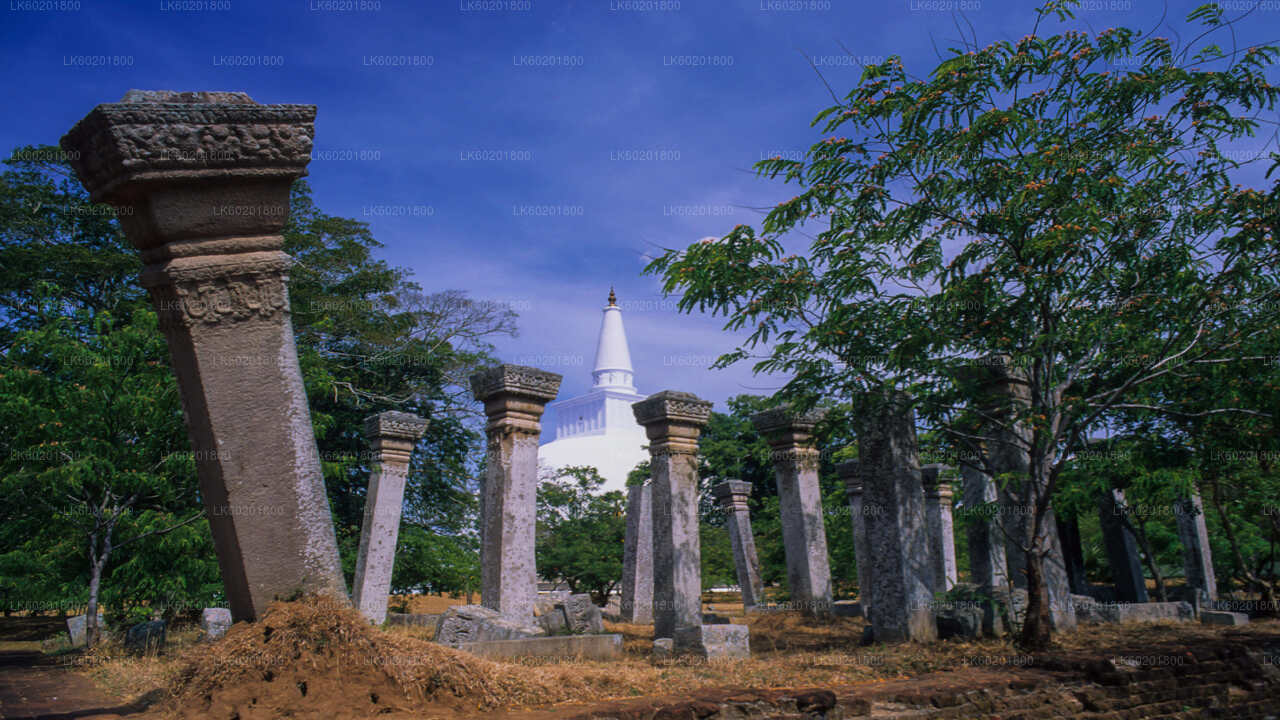 Anuradhapura-Tour zu buddhistischen Ikonen ab Sigiriya