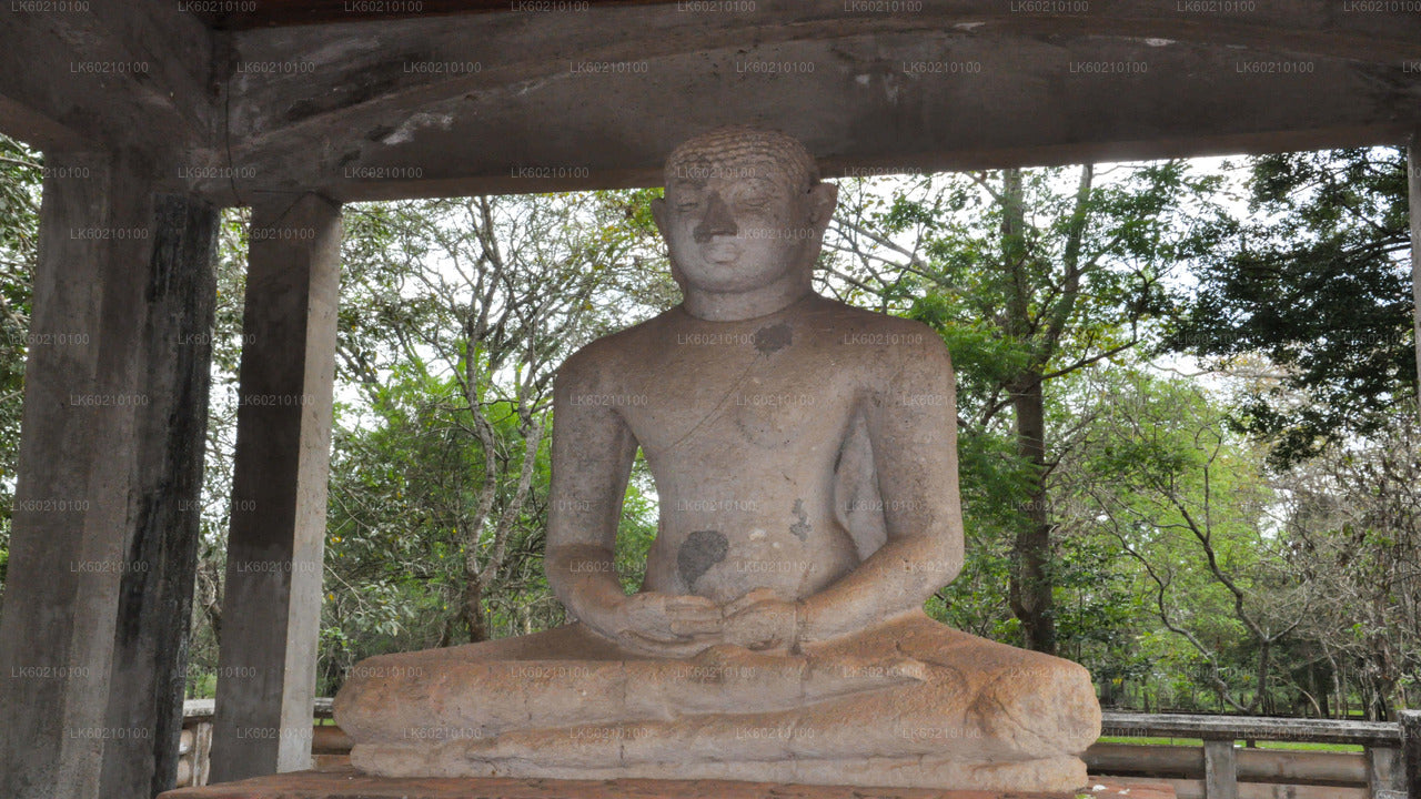 Heilige Stadt Anuradhapura von Sigiriya aus