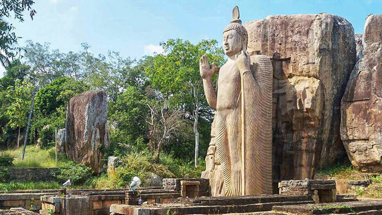 Heilige Stadt Anuradhapura von Sigiriya aus
