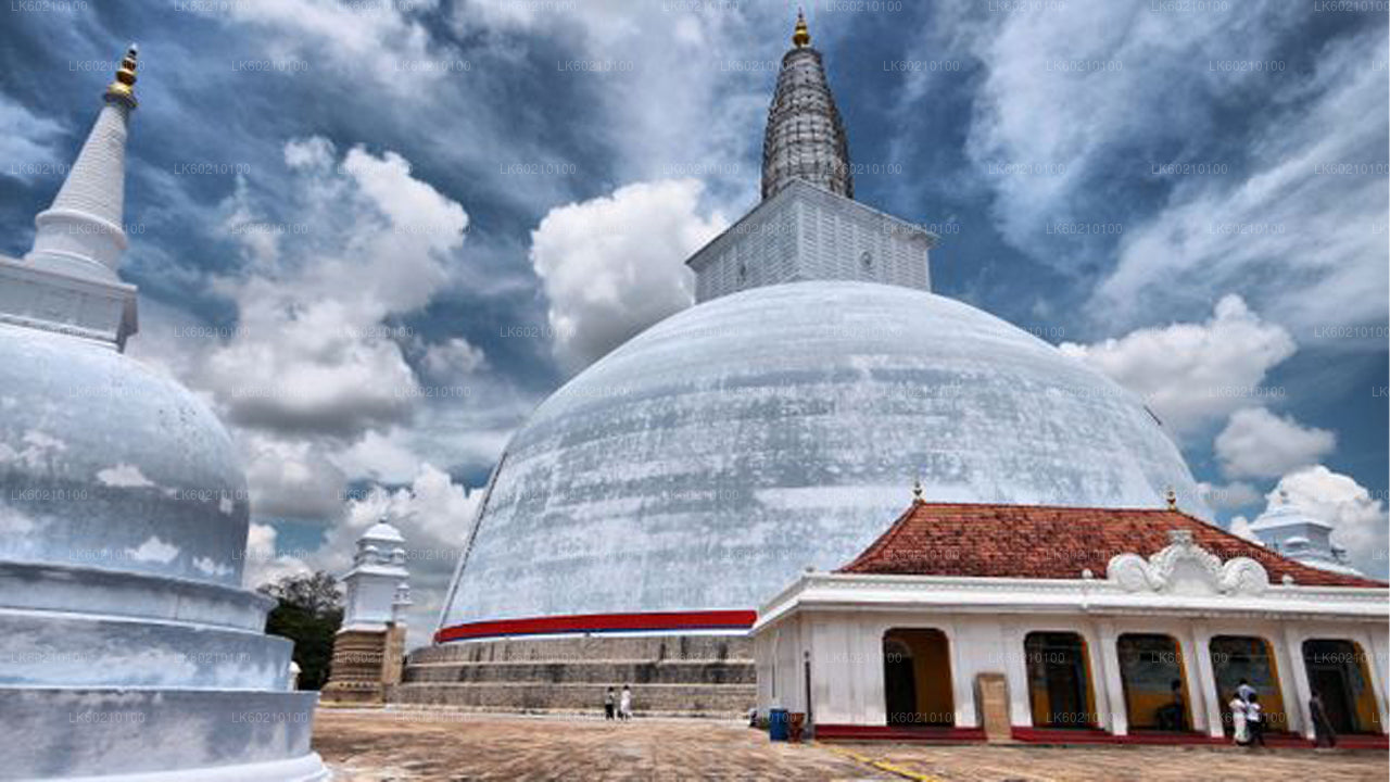 Heilige Stadt Anuradhapura von Sigiriya aus