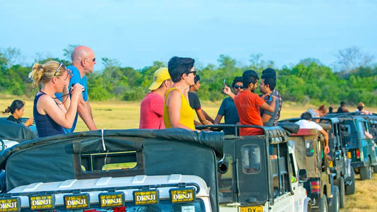 Safari im Bundala-Nationalpark ab Tangalle
