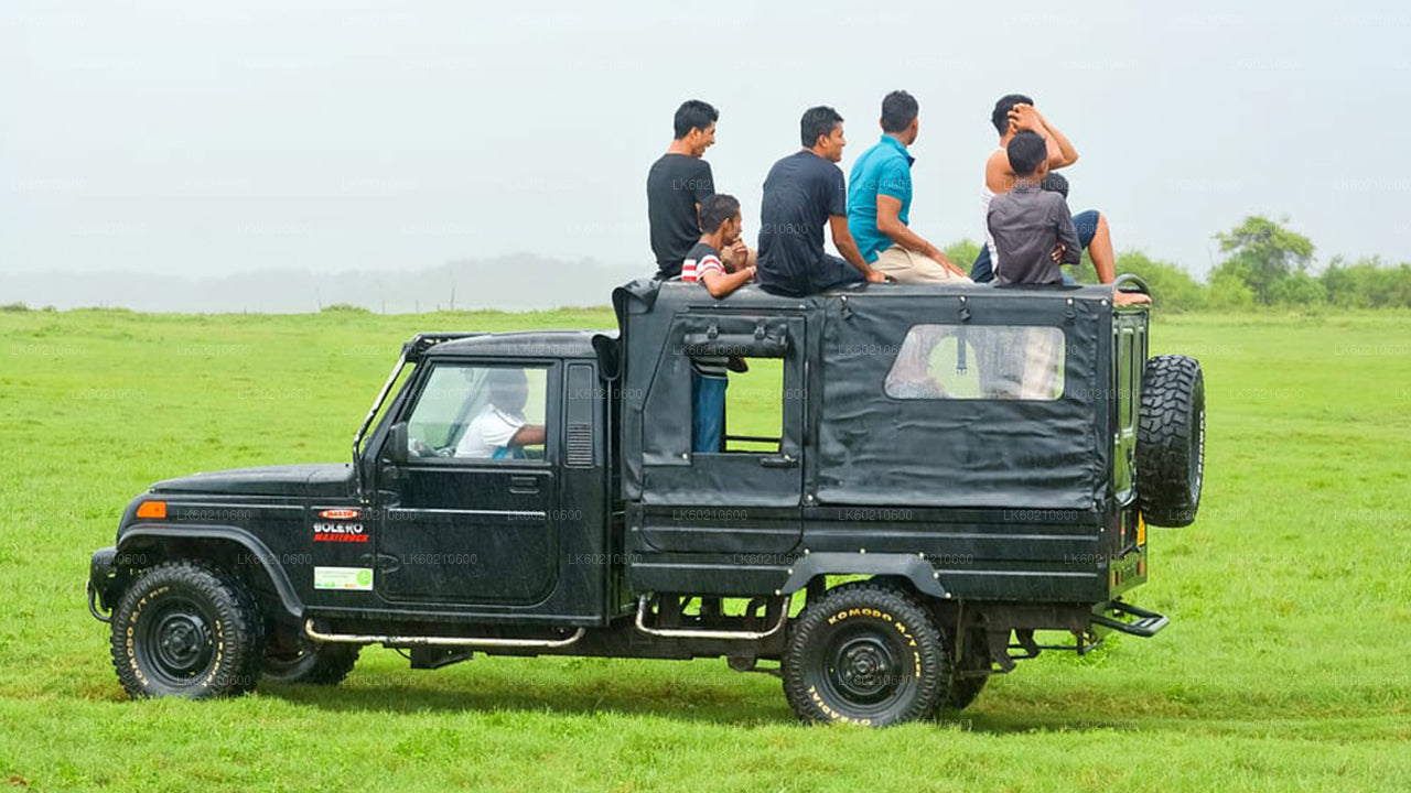 Safari im Bundala-Nationalpark ab Tangalle