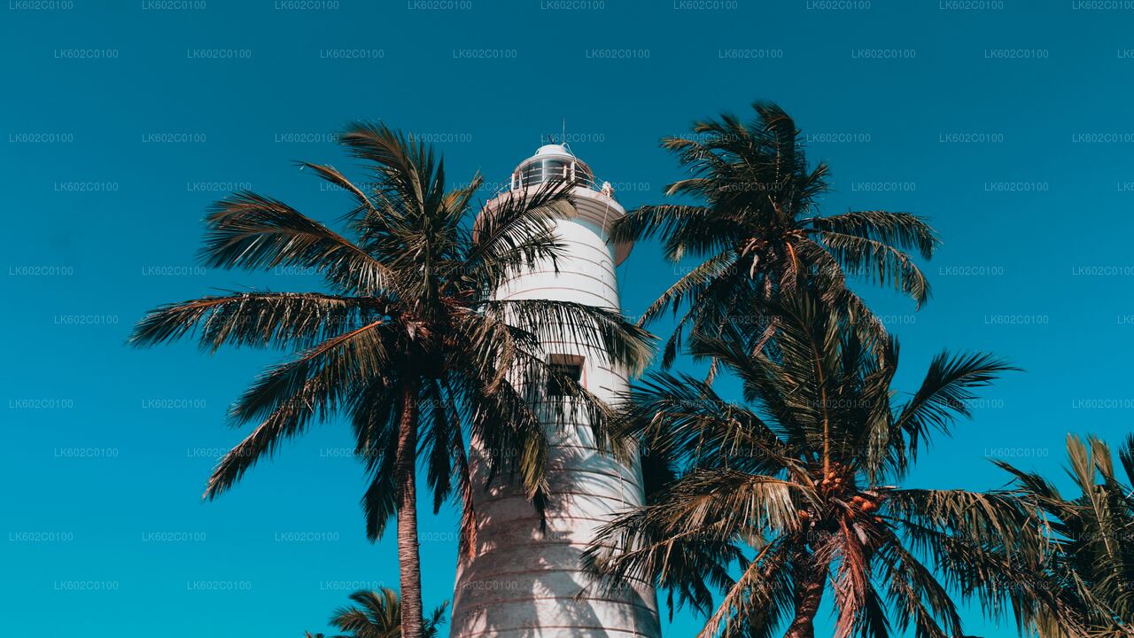 Highlights der Südküste ab Weligama City
