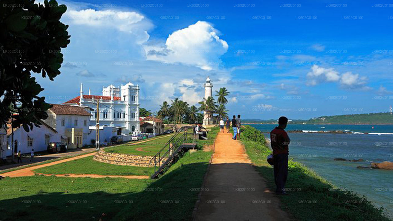 Highlights der Südküste ab Weligama City
