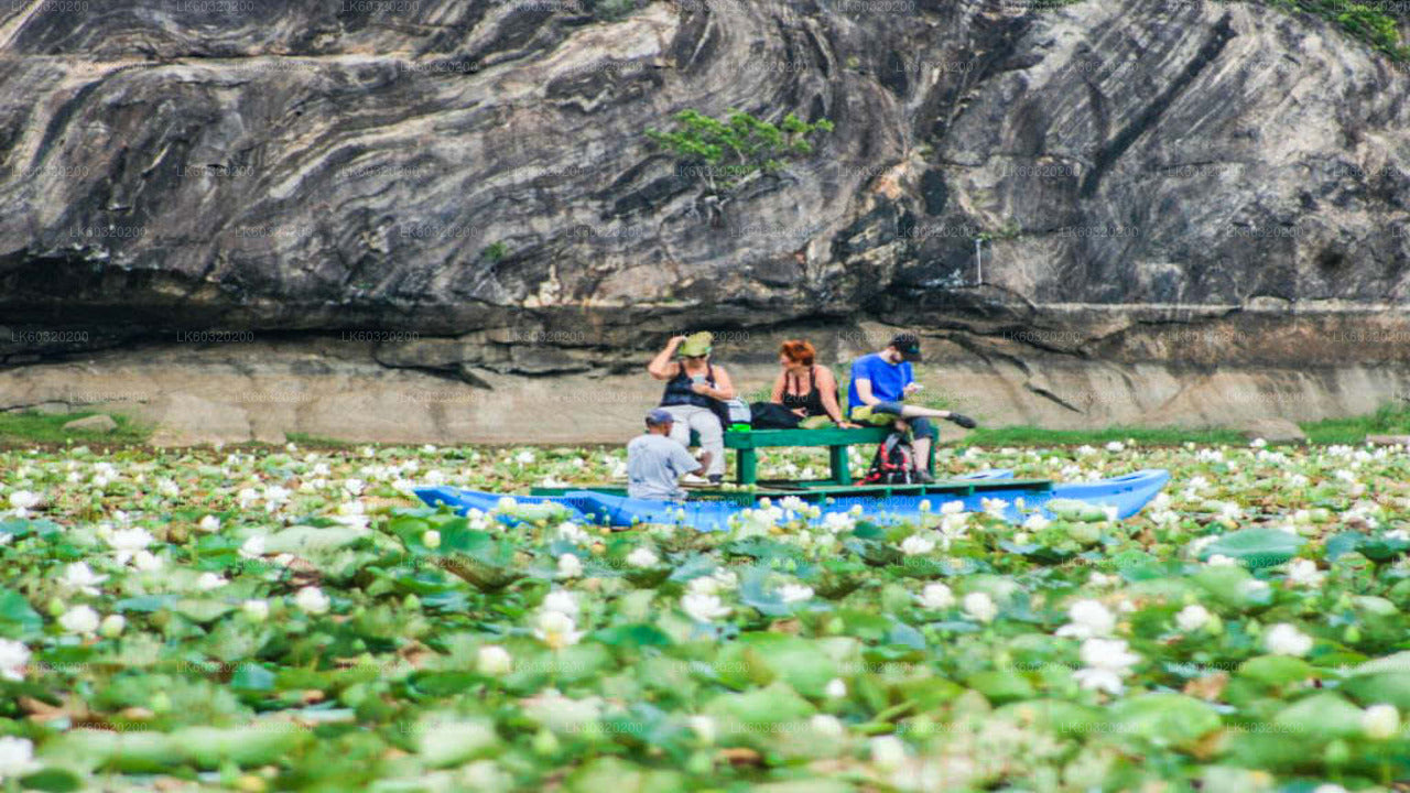 Sigiriya-Dorftour ab Habarana