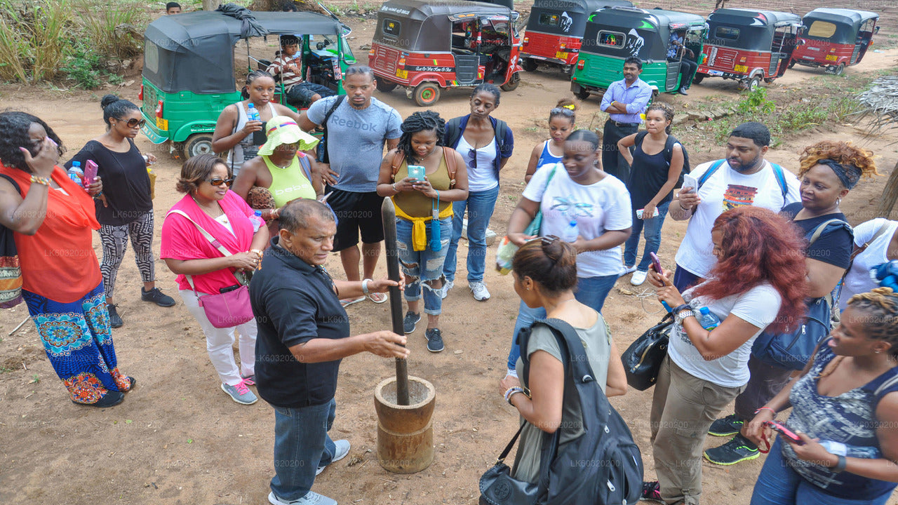 Sigiriya-Dorftour ab Habarana