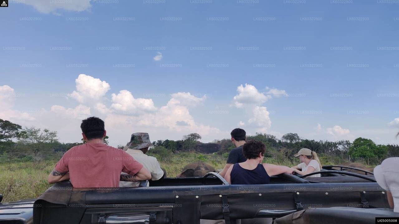 Private Safari im Hurulu Eco Park ab Habarana