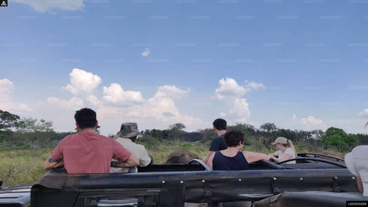Private Safari im Hurulu Eco Park ab Habarana