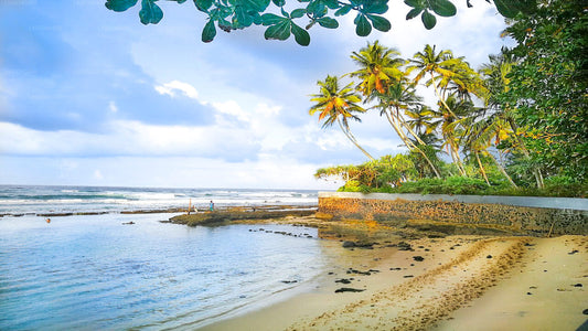 Balapitiya, Galle und Kosgoda aus Panadura