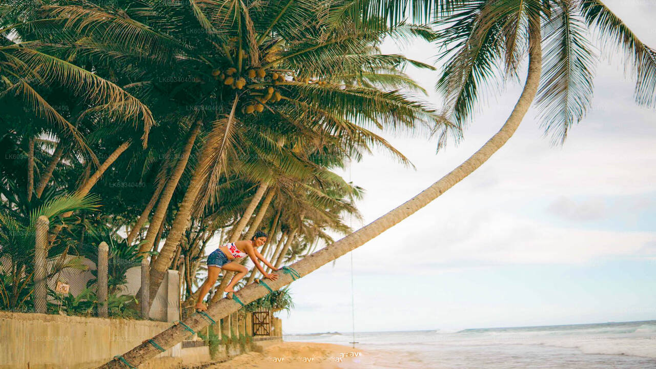 Balapitiya, Galle und Kosgoda aus Panadura