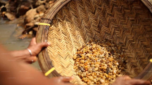 Erkunden Sie die Edelsteinminen in Rathnapura von Panadura aus