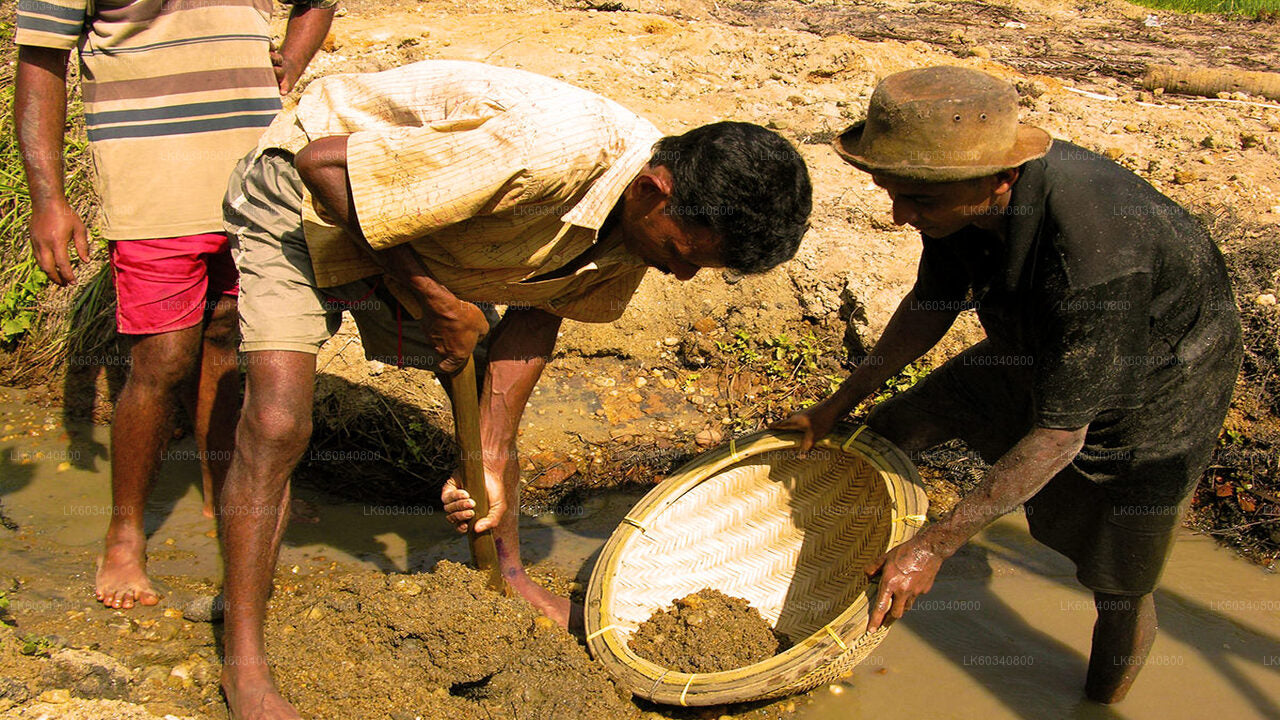 Erkunden Sie die Edelsteinminen in Rathnapura von Panadura aus