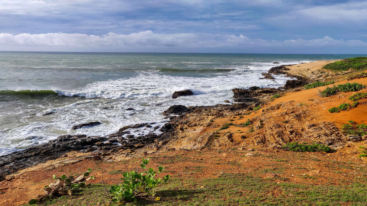 Bundala-Nationalpark-Safari ab Unawatuna