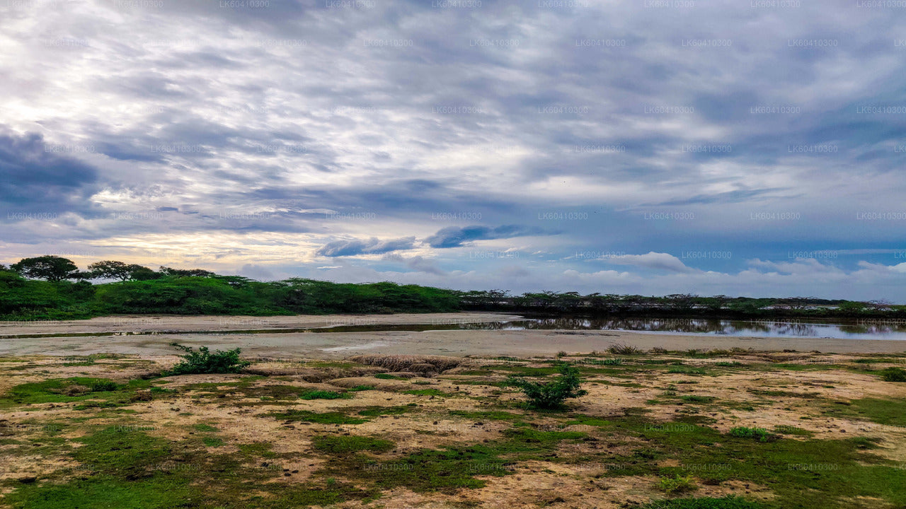 Bundala-Nationalpark-Safari ab Unawatuna