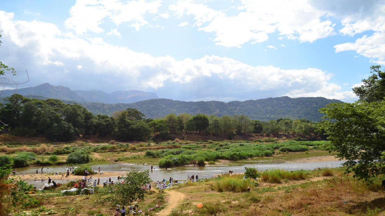 Mahiyanganya- und Dambana-Tagestour ab Kandy