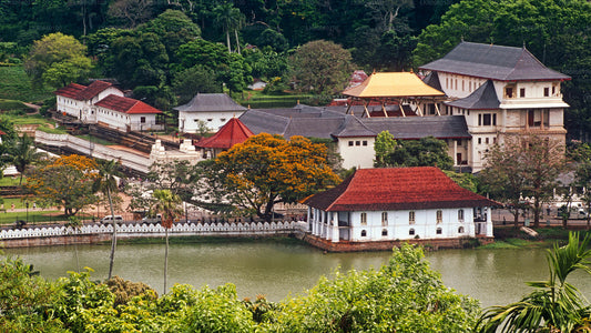 Kandy-Stadtrundfahrt ab Mount Lavinia