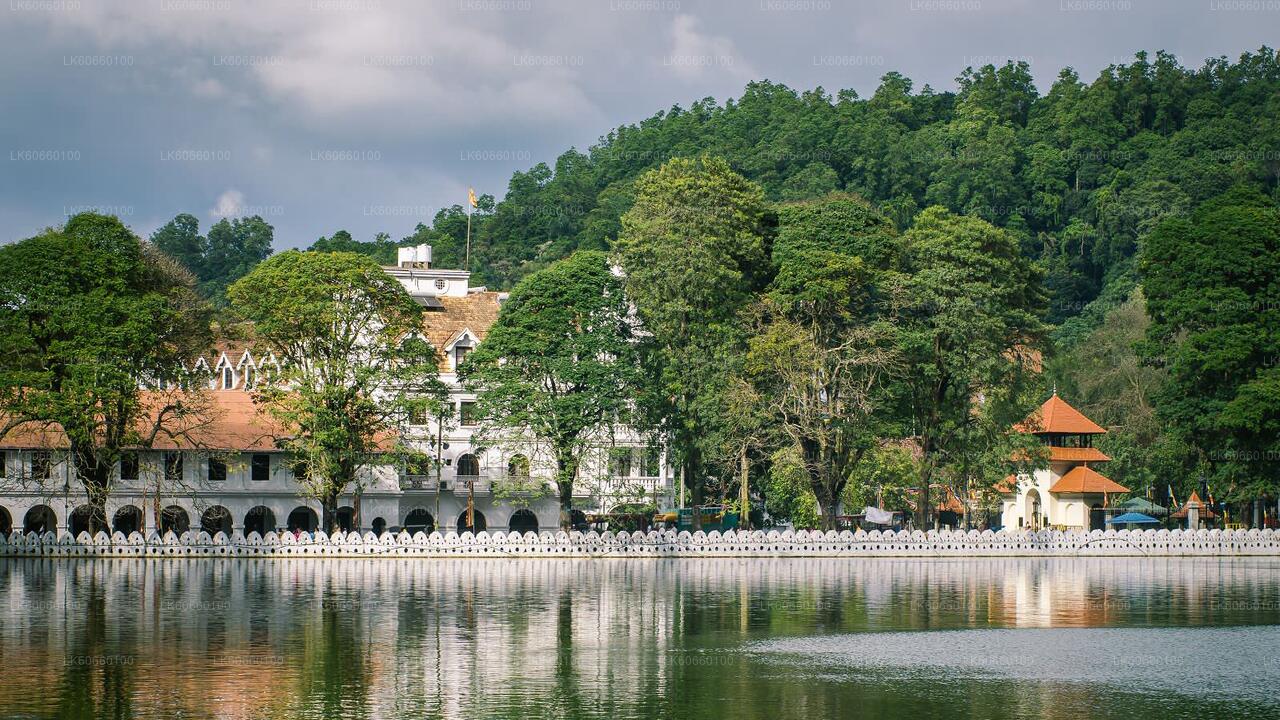 Kandy-Stadtrundfahrt ab Mount Lavinia