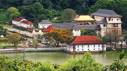 Stadtrundfahrt durch Kandy und Besuch der Millennium Elephant Foundation vom Mount Lavinia aus