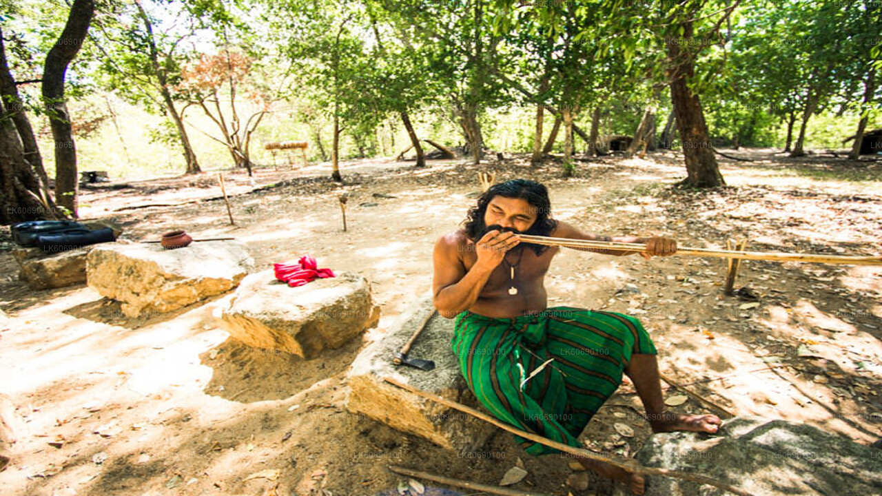 Tour zum Dambana-Aborigine-Dorf ab Mahiyanganaya
