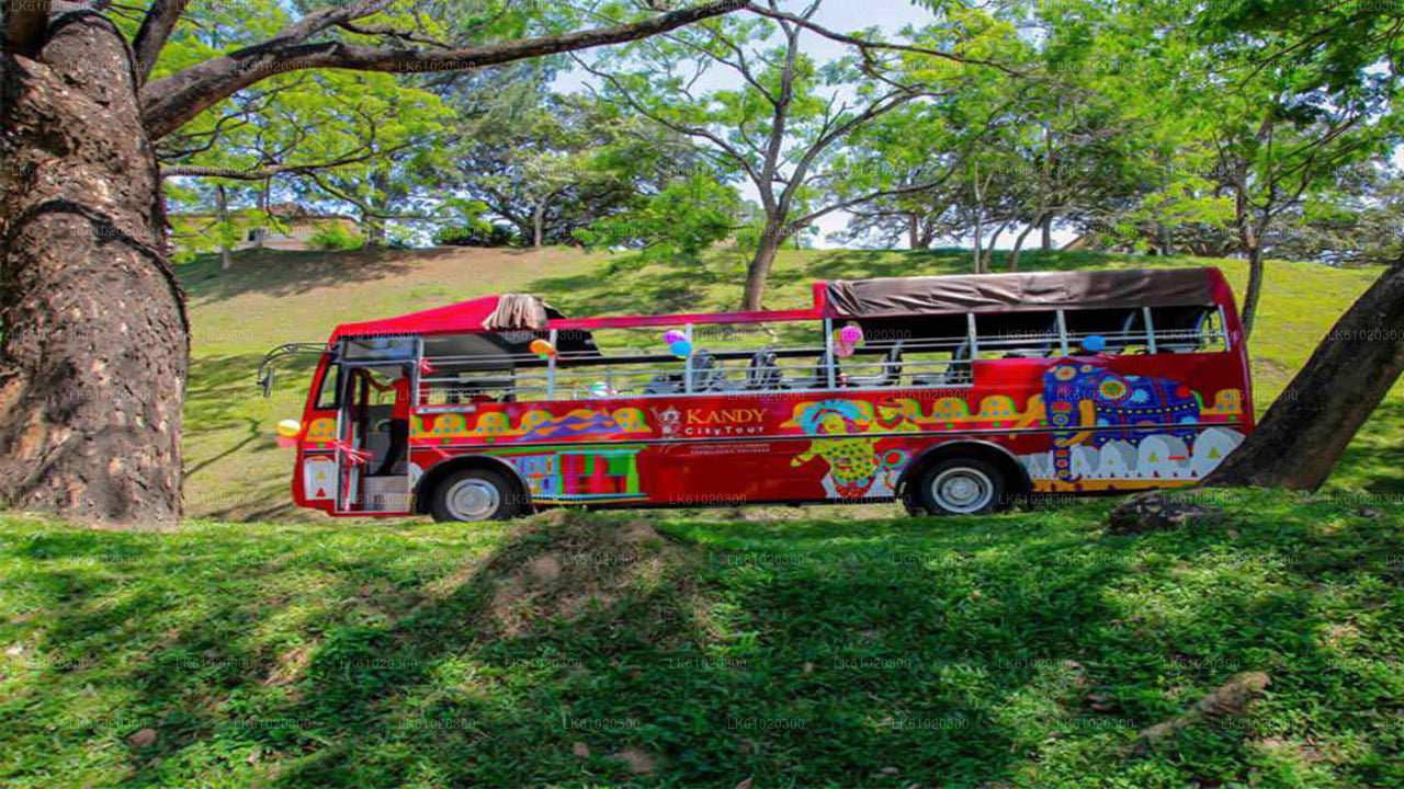 Stadtrundfahrt durch Kandy im offenen Bus