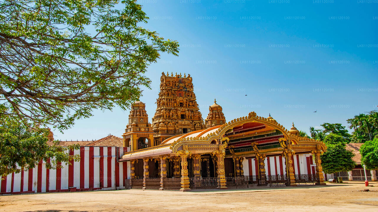Stadtrundfahrt durch Jaffna